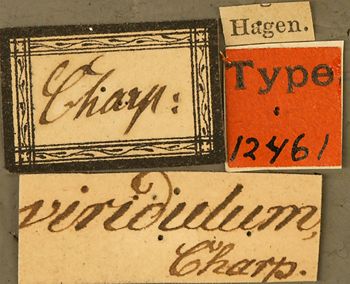 Media type: image; Entomology 12461   Aspect: labels